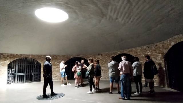 Bodegas y Viñedos en Mendoza