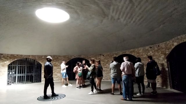 Bodegas y Viñedos en Mendoza