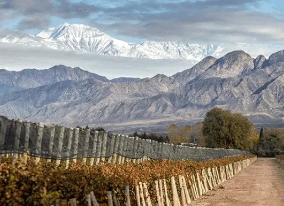 Bodegas en San Rafael Mendoza