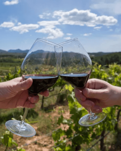 Excursión con Cata de vinos en San Rafael Mendoza