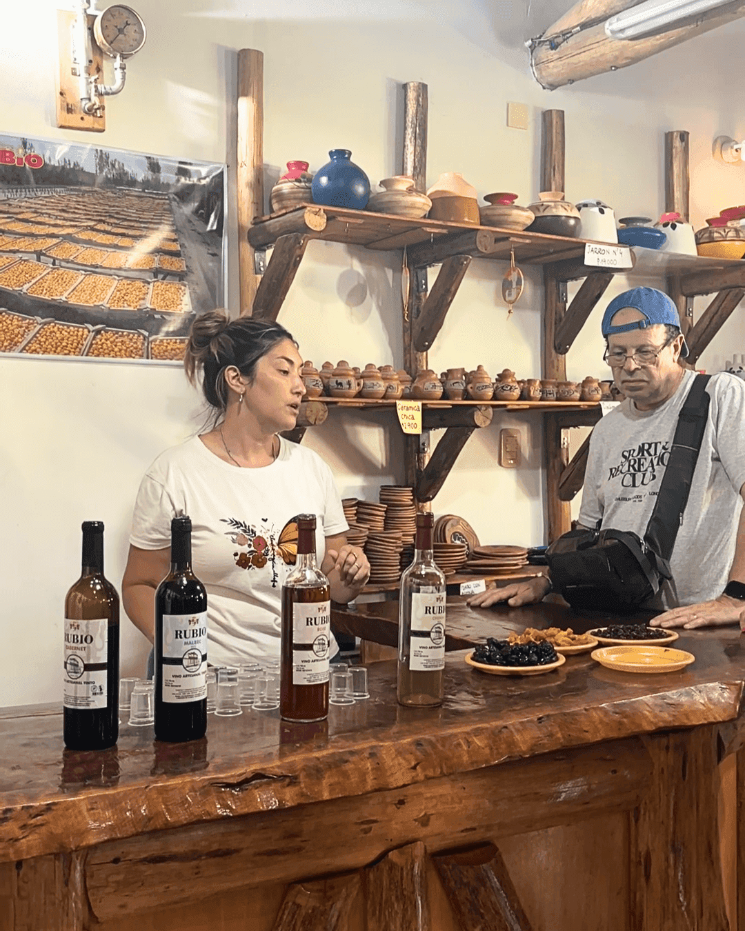 Degustacion de vinos en bodega finca familiar