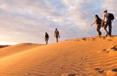 Excursión al Cañón y Dunas El Nihuil