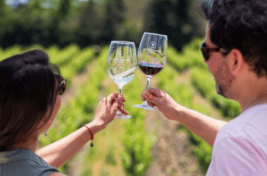 Excursion bodegas san rafael