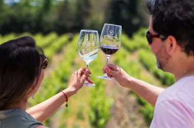 Tour de Bodegas en Mendoza