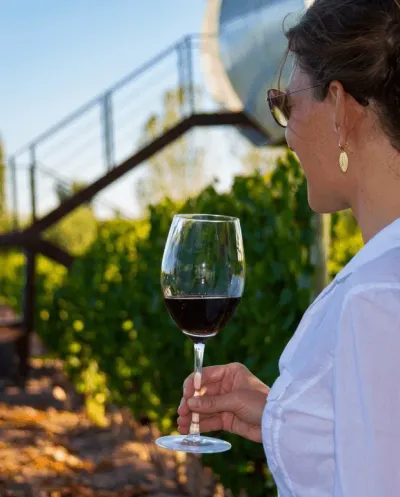 Excursión Caminos del Vino San Rafael