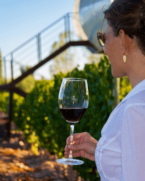 Excursión Caminos del Vino San Rafael
