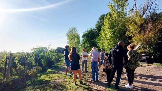 San Rafael Bodegas Mendoza